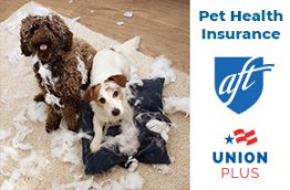 Pet Health Insurance - AFT, Union Plus